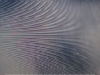 rauschen-flyer